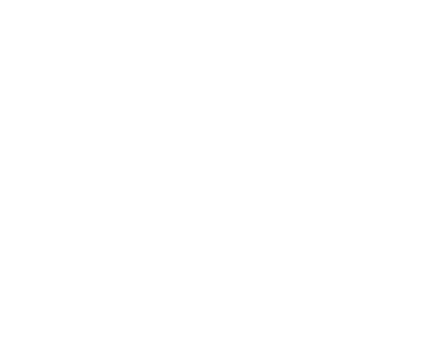 MAGNETIC BY ZEE