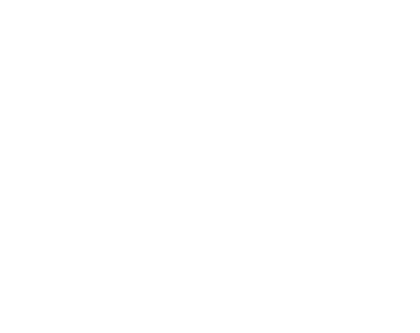 MAGNETIC BY ZEE